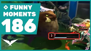 Nongshim worst enemy THE GROMP  Funny Moments 186 LCK 2024 [upl. by Tanny736]