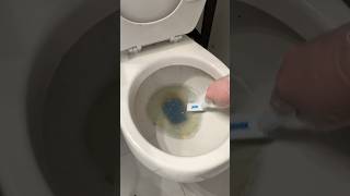 Calcium Build up in Toilet 🤢 [upl. by Suollecram]