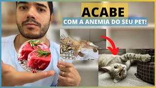 USE ESSES 4 ALIMENTOS CONTRA ANEMIA O QUE DAR PARA CACHORRO OU GATO COM ANEMIA [upl. by Ybreh]