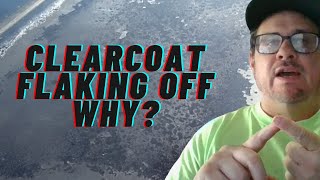 Why Is My Clearcoat Flaking or Peeling Off My Car [upl. by Novick342]