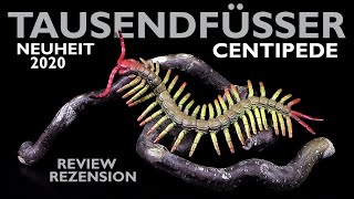 CollectA ® Centipede 2020 Neuheit  Tausendfüsser  Hundertfüsser  Skolopender  Review [upl. by Trillbee384]