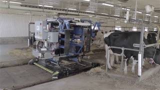 TieStall AMS Milking Robot by Milkomax [upl. by Ynnavoig]