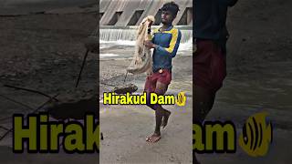 Hirakud Dam Re fishing video hirakuddam fishing shortvideos shorts short viralvideo viral [upl. by Ailekat89]