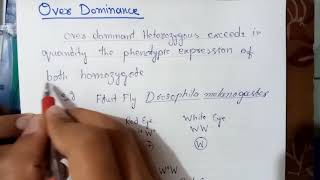 Over Dominance Drossophila melanogaster eye color [upl. by Stouffer]