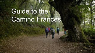 Day 33 Camino de Santiago—Sarria to Portomarin [upl. by Anedal]