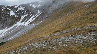 Puchberg am Schneeberg Schneeberg Chamois [upl. by Potash]