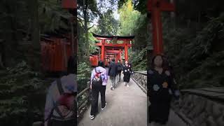 Fushimi Inari Shrine Kyoto [upl. by Ennirroc148]