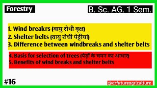 Wind Breaks and Shelter Belts  Benefits of Wind Breaks and Shelter Belts  Forestry  Lecture No16 [upl. by Reamonn406]