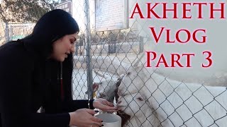 AKHETH Mexico amp US Vlog  Part 3 [upl. by Nylacaj]