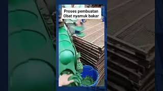 pembuatan obat nyamuk bakar reaction shorts obatnyamuk [upl. by Ollehto601]