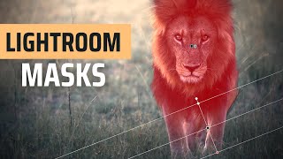 How To Use LIGHTROOM MASKS [upl. by Ilat418]