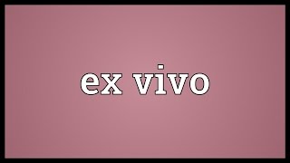 Ex vivo Meaning [upl. by Nogras284]