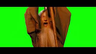 Gandalf saying quotYOU SHALL NOT PASSquot meme  Green Screen [upl. by Ais]