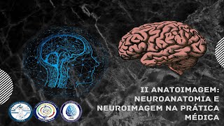 II ANATOIMAGEM Neuroanatomia e neuroimagem na prática médica [upl. by Pacian]