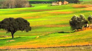 Quando Fores Ao Alentejo [upl. by Ahsauqal]