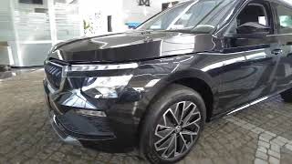 Skoda Kamiq 10 TSI DSG Autom Selection quotneues Modellquot [upl. by Acirderf431]