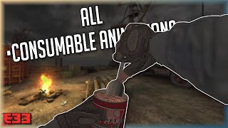 GUNSLINGER STALKER Call of Pripyat mod  All Food Drinks and Medications Animations [upl. by Gery743]