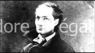 Je tadore à légal de Charles Baudelaire [upl. by Hamner356]