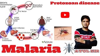 Malaria the Protozoan disease caused by Plasmodium by Atul Sir Genius Study point [upl. by Fanning747]