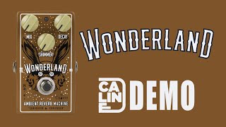 Caline  Wonderland Ambient Reverb Machine  Demo 5 Series [upl. by Tiler434]