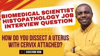 HOW DO YOU DISSECT A UTERUS WITH CERVIX ATTACHED [upl. by Elleyoj463]