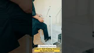 Mastering Level 3 Gait Training Transforming Stroke Recovery 😍 [upl. by Doro510]