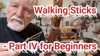 Walking Sticks  Part IV for Beginners [upl. by Fraser]