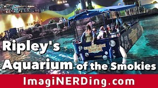 Ripleys Aquarium of the Smokies in Gatlinburg TN [upl. by Nerha920]