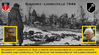 Baugnez and Ligneuville 1944 Survivor witness and SS interviews [upl. by Enirtak]