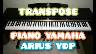 Cara Transpose Piano Yamaha Arius YDP  Ikko Gobel [upl. by Alina650]