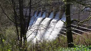 dam spillway overflowing 2024 [upl. by Samara699]