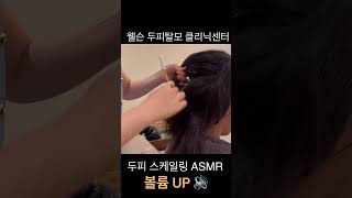 두피 스케일링 asmr 두피스케일링 두피스파 두피관리 두피관리잘하는곳 스케일링 두피각질 시원하게 [upl. by Demitria]