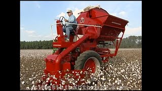 Picking Cotton With A 1961 International Harvester 314 Picker Mounted On An IH 504 Diesel Tractor [upl. by Shirberg]