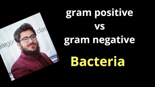 Differences between Gram positive and Gram negative bacteria  Gram positive vs Gram negative [upl. by Raymonds]