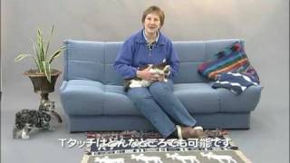 TTouch for Cats in Japan 猫のためのＴタッチ [upl. by Powder]