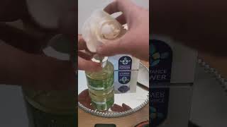 How To Set Up A Scentsy Fragrance Flower Reed Diffuser [upl. by Nottnerb10]