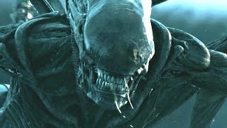 The Most Confusing Moments In The Alien Movie Franchise Explained [upl. by Anilatac829]