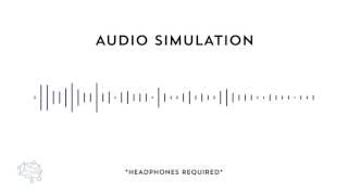 Auditory Processing Disorder Simulation [upl. by Nagy]