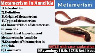 Metamerism in Annelida  Metamerism [upl. by Pollerd306]