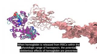 Haptoglobin [upl. by Holbrooke]