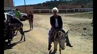 Donkey Riding Atlas Mountains [upl. by Ailec428]