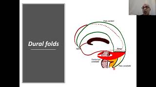 Cranial cavity surgical anatomy [upl. by Oijile580]