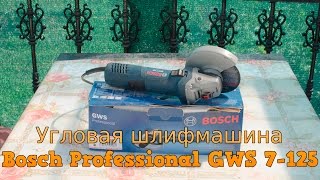 Угловая шлифмашина Bosch Professional GWS 7125  Обзор [upl. by Esinereb]