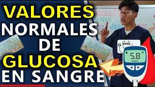 VALORES NORMALES DE GLUCOSA EN SANGRE  GuiaMed [upl. by Corotto]