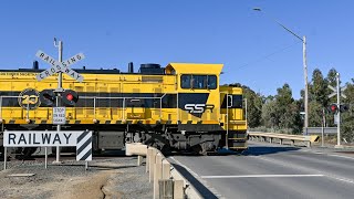 Ochertyre Street Deniliquin New South Wales  VLine Railway Crossing [upl. by Ardelis]