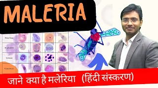 Malaria Parasite For DMLT  BMLT  Lab Technician By Sandeep Sir Medico parasitology [upl. by Viviene663]