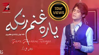 Yar Ghanam Ranga Ma Osata da Maro Strgu da Janga  Zeeshan Ali Zargar New Song 2023 [upl. by Honoria]