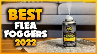 Top 5 Best Flea Foggers You can Buy Right Now 2023 [upl. by Sanders]