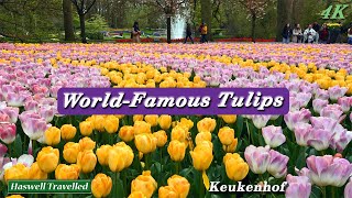 Stunning Keukenhof Gardens WorldFamous Tulips  Netherlands 4K [upl. by Dunseath]