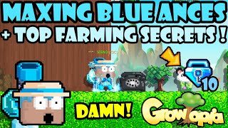 THE BEST FARMING TIPS IN GROWTOPIA  GrowTopia Profit 2023 [upl. by Peddada]